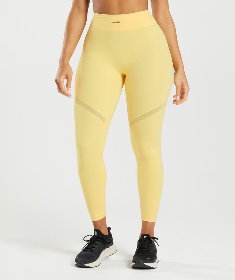 Women\'s Gymshark Whitney Mesh Leggings Yellow | NZ 6NPDOB